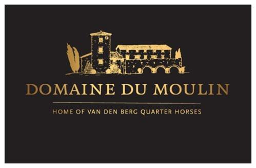 Villa Les Mesanges Du Domaine Du Moulin 31 Trollat Exterior foto